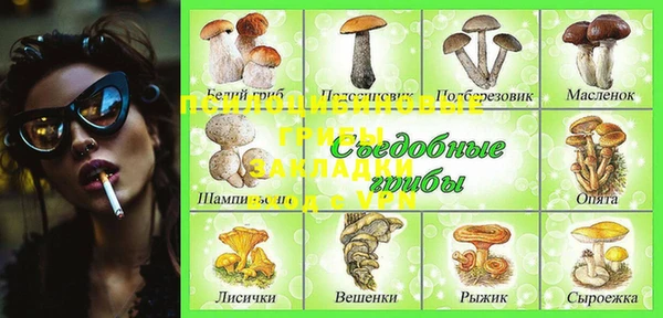 мдпв Магадан