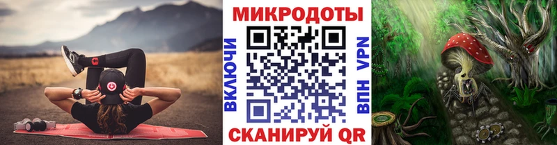 Купить где  Опочка  Галлюциногенные грибы Psilocybine cubensis 